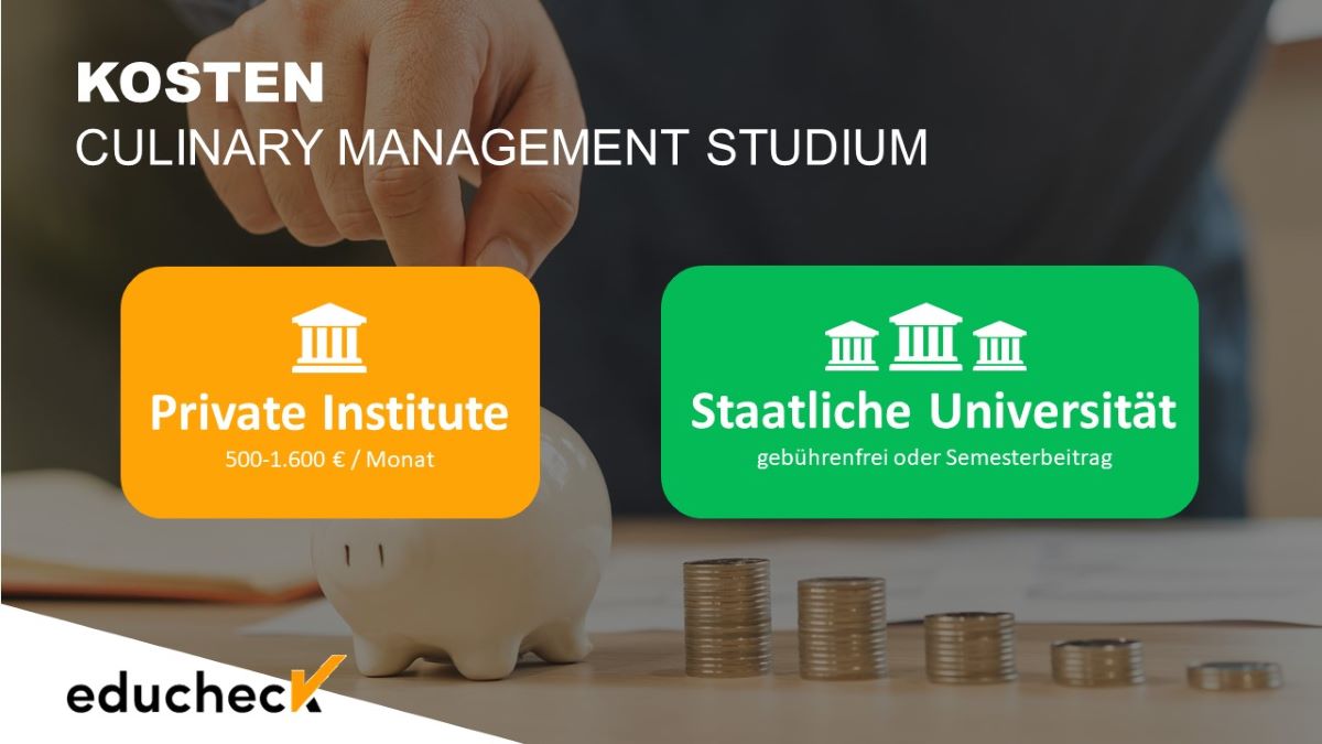 Die Kosten für ein Culinary Management Studium an privaten oder staatlichen Hochschulen